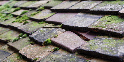 Carmarthen roof repair costs